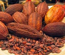 Photo of Ahafo-Ano cocoa farmers receive bonuses