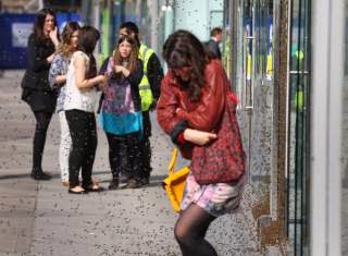Photo of Swarm of 5,000 honey bees attack woman shopper in central London