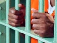 Photo of Man jailed 5 years for stealing plaintain