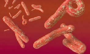 Photo of Ghana: Results of Ebola tests from Ashanti, Bawku, Nsawam negative