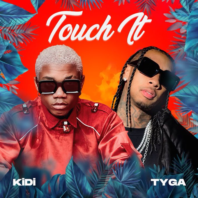 KiDi Feat. Tyga - Touch It remix