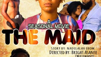 Photo of Kingpins Movie Production Releases The Maid Season 1