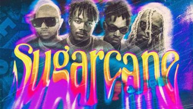 Photo of Camidoh Teams Up With King Promise, Mayorkun And Darkoo On The Remix Of Sugarcane