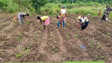 Photo of Make The Agricultural Sector Attractive To The Youth And Women – G2 Foundation To Government
