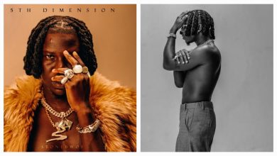 Photo of Stonebwoy Releases His Fifth Career Album, ‘5th Dimension’