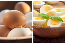 Photo of 5 Health Benefits Of Eating Eggs Everyday – News Hunter Magazine Health Tips