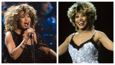 Photo of Music Legend, Tina Turner Passes On; She Was 83