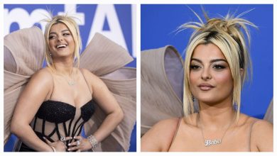 Photo of Bebe Rexha Recovering After Being Hit With Phone When Performing In New York City
