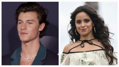 Shawn Mendes and Camila Cabello break up
