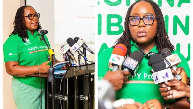 Deputy Chief Executive Officer of Agri-Impact Limited, Mrs. Juliana Asante-Dartey